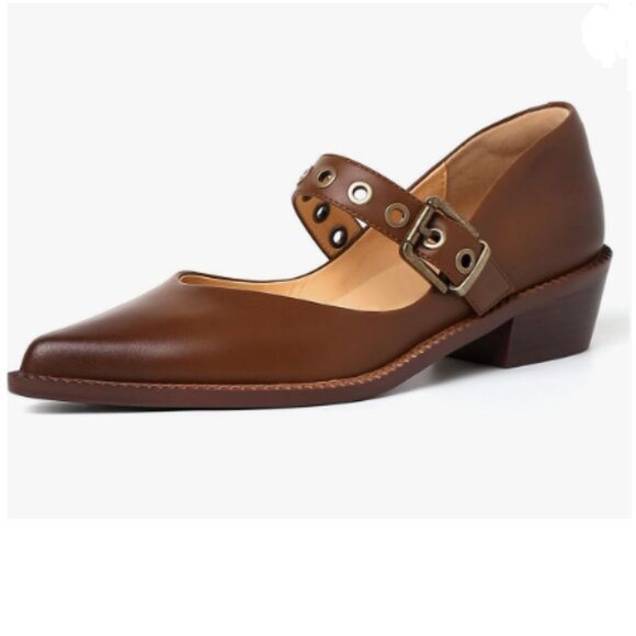 YDN Brown Ankle Strap Pumps Pointed Closed Toe Mary Jane Chunky Mid Heels Loafer - Picture 1 of 8